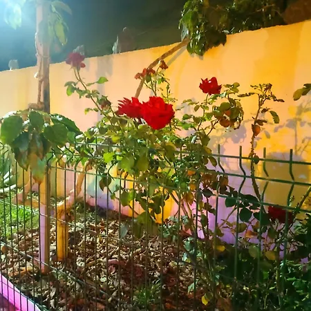 Casa Cristal アパート