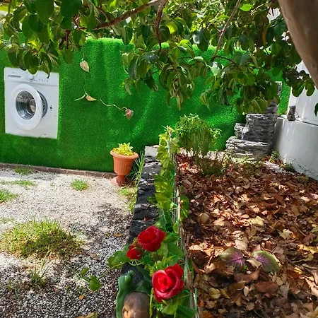 Apartman Casa Cristal Arona